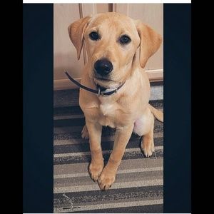 Meet your Posher, Ashley